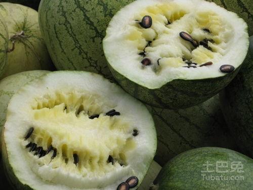 专门吃籽瓜的视频,一口咬下,尽享田园滋味