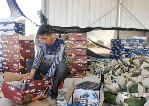 今夏的第一次吃瓜的视频,甜蜜滋味尽在眼前