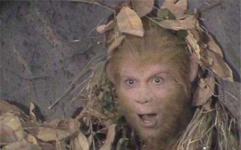 猴哥配音吃瓜视频全集,笑料横生,揭秘娱乐圈幕后故事