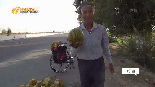 50岁大叔吃瓜河边视频,意外走红网络,揭秘瓜农生活点滴