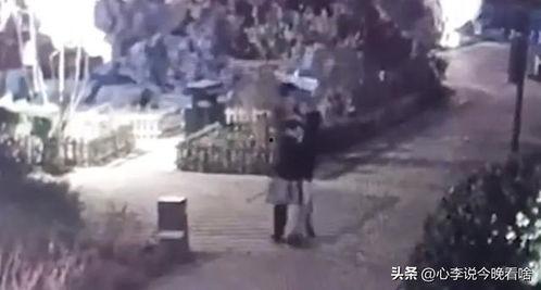 车祸吃瓜视频完整版,吃瓜群众还原完整版视频全程