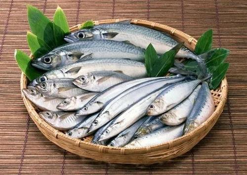 瓜丝鱼怎么吃视频,视频教程详解