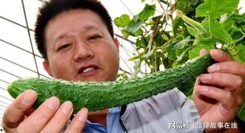 吃坏瓜中毒视频真实,揭秘吃坏瓜引发的健康危机