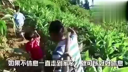 唐山吃瓜事件卖花视频播放,卖花视频引发全网热议，揭秘事件背后真相