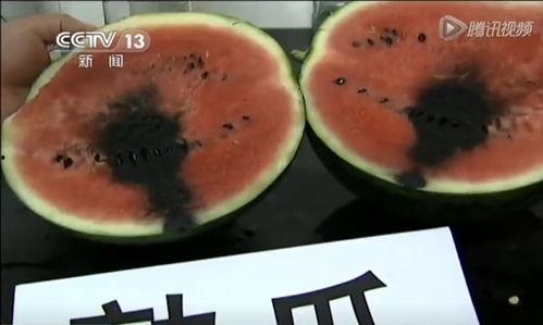 石庄吃瓜视频,揭秘网络热传视频背后的故事