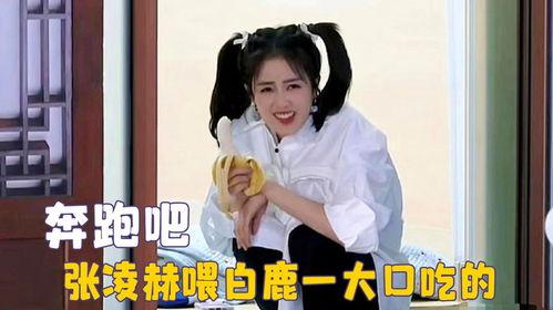 白鹿吐槽吃瓜视频大全,揭秘娱乐圈幕后故事