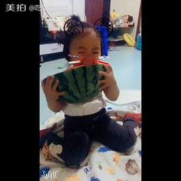 带你吃大瓜搞笑版视频,笑料横生！带你领略“大瓜”搞笑版视频的欢乐盛宴